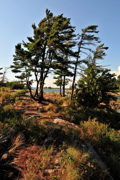 georgianbay11-477 - The Glory of Georgian Bay