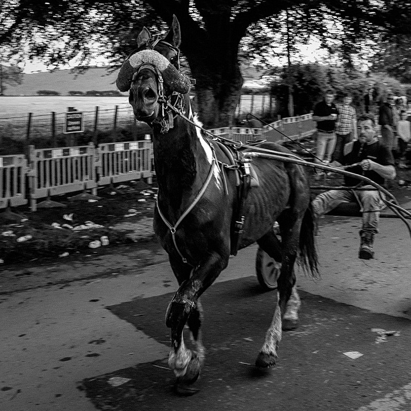 Appleby 023 - Appleby Horse Fair