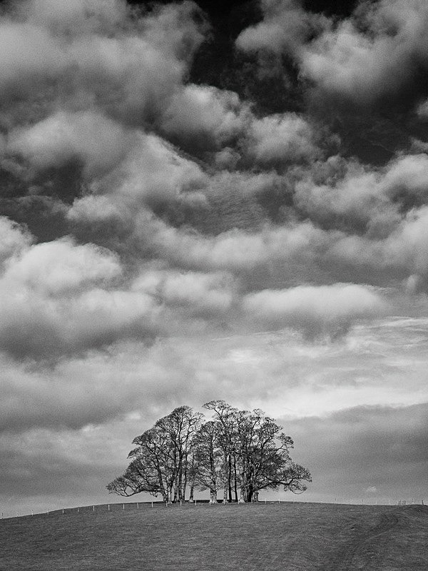 Teenley Hill 07 - Landscapes