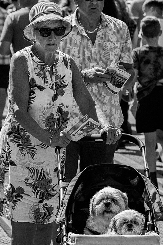 The Proud Grandmother of Twins 01 - Street