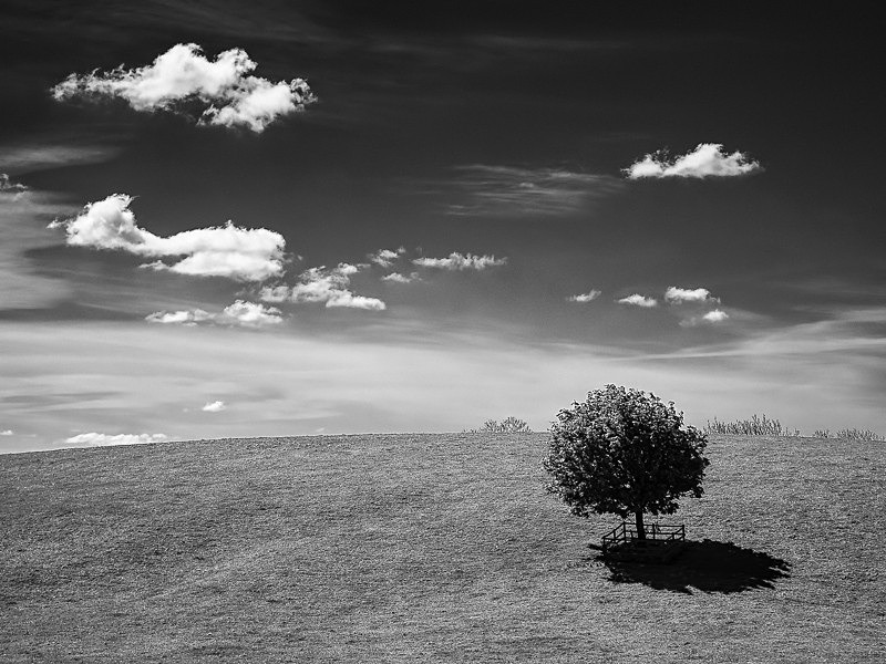 Bentha Hill 01 - Landscapes
