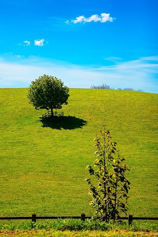 Bentha Hill 02 C - Colour