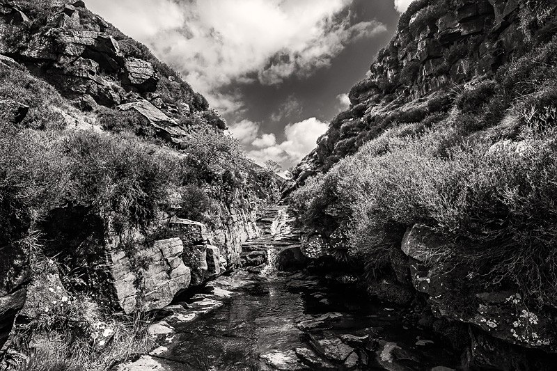 Dean Black Brook 02 - Waterscapes