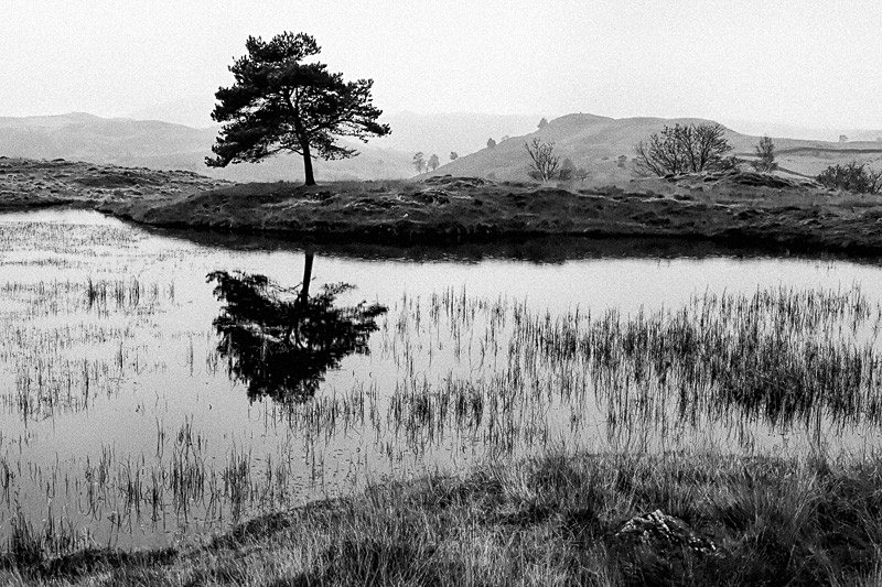 Kelly Hall Tarn 11 - Waterscapes
