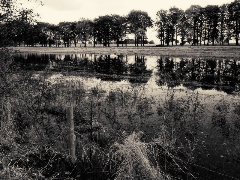 Grimsditch - Waterscapes