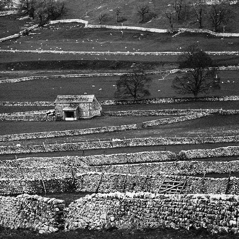 Littondale 06 - Landscapes