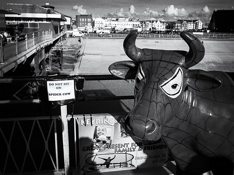 Spider Cow 01 - Man-Made