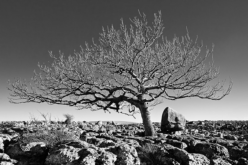 Newbiggin Crags 10 - Landscapes