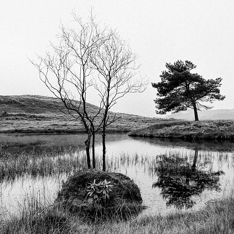 Kelly Hall Tarn 12 - Waterscapes