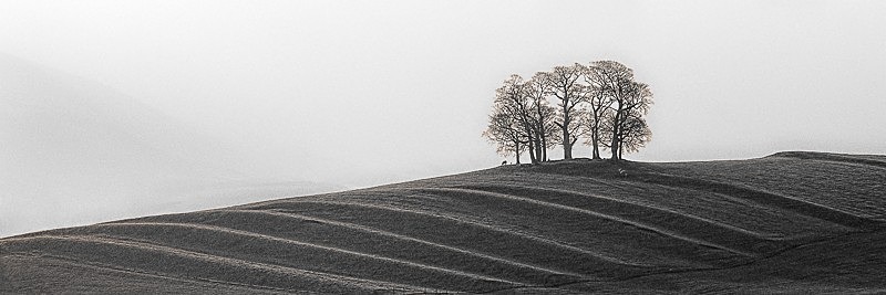 Gallows Hill 02 - Landscapes