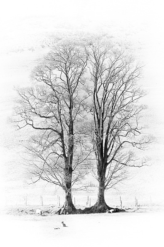 The Wyches Of Hareden 02 - Landscapes