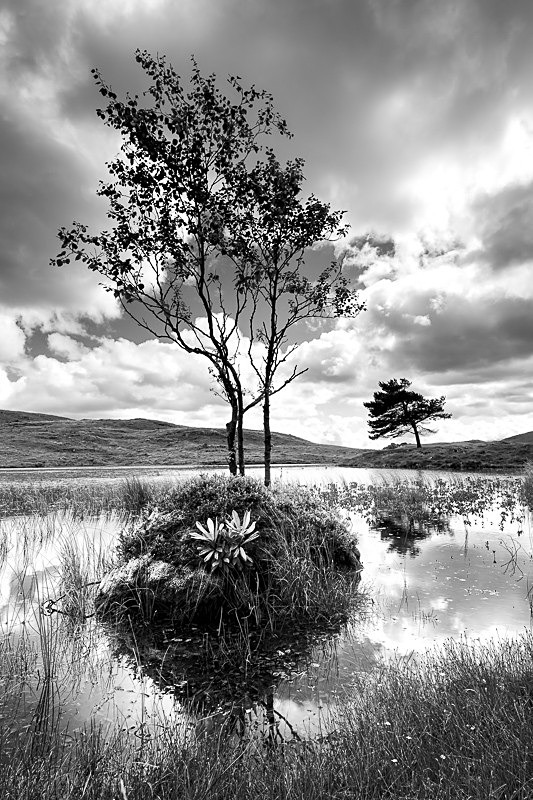 Kelly Hall Tarn 02 - Waterscapes