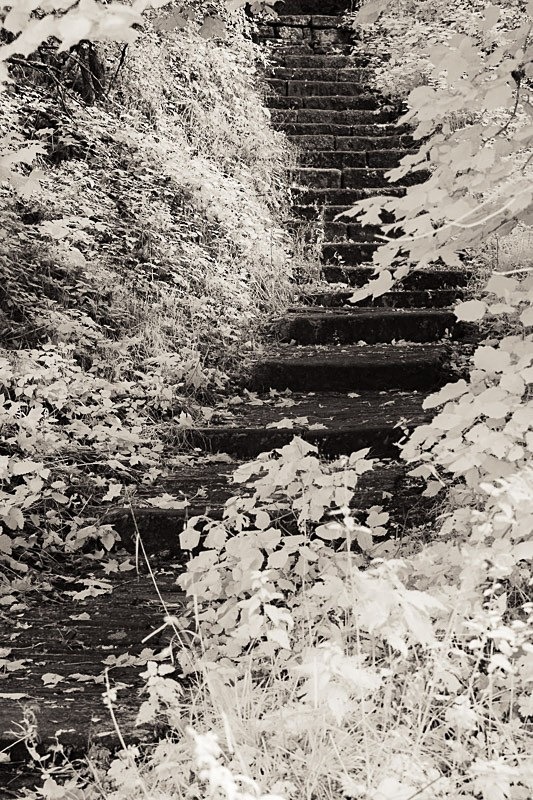 Wycoller 009 - Infra Red