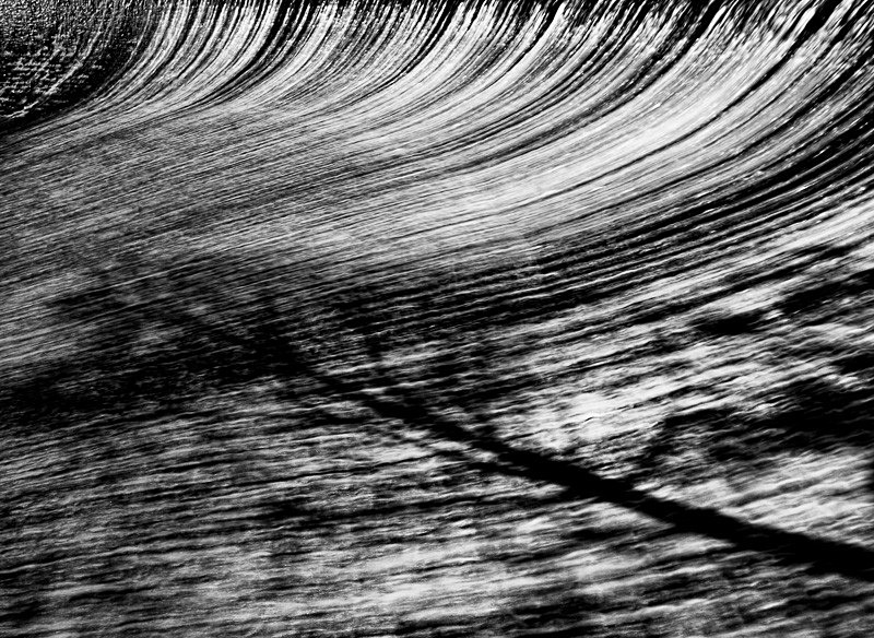 Tree Shadow on Water - Waterscapes
