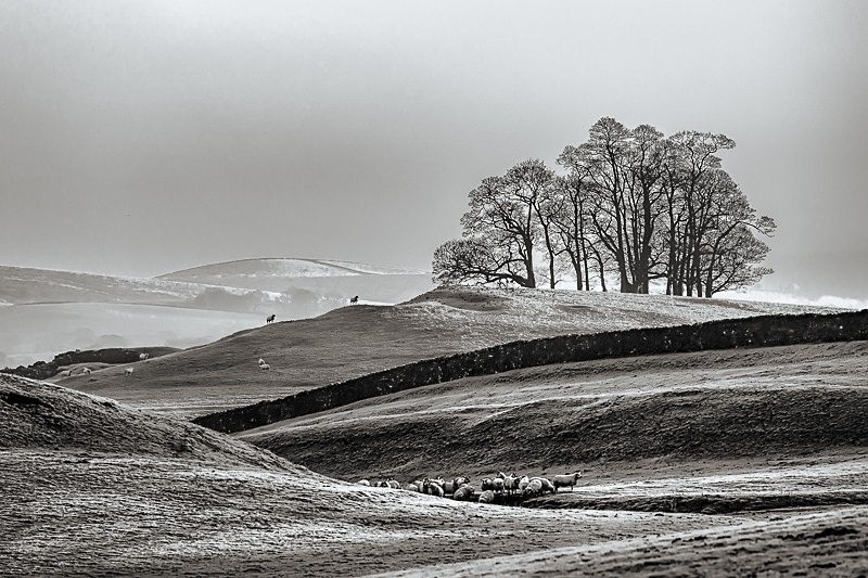 Teenley Hill 01 - Landscapes