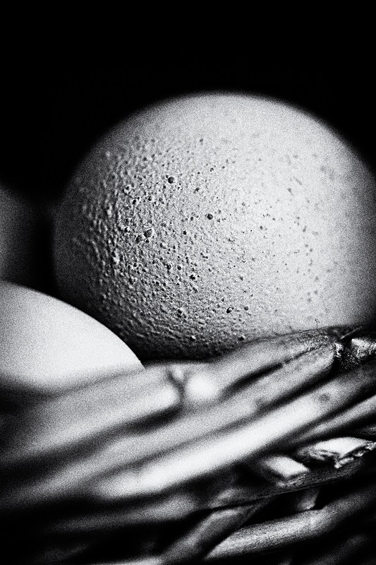 Eggs 04 - Homespun