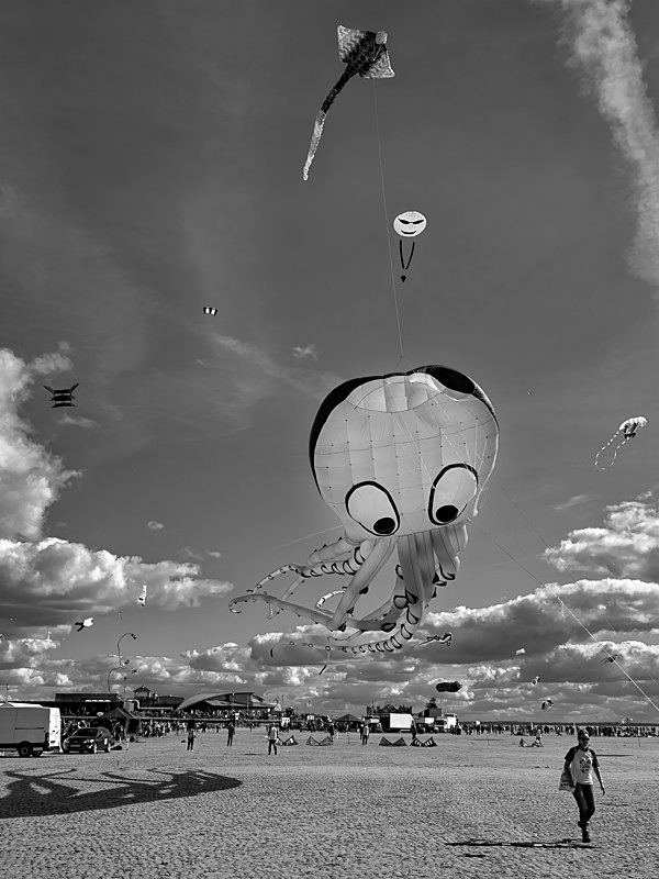 Kite Festival 002 - Kite Festival