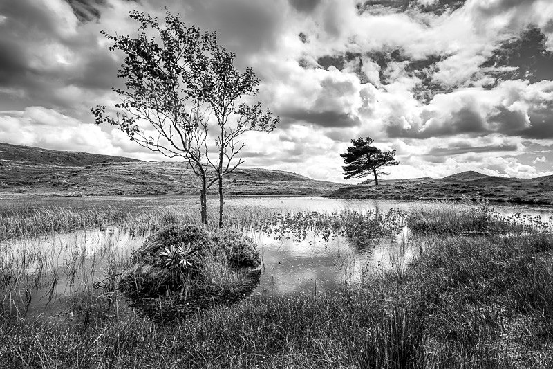 Kelly Hall Tarn 01 - Waterscapes