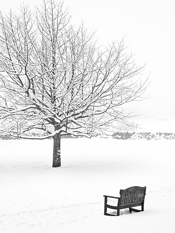 Borrans Park 01 - Landscapes