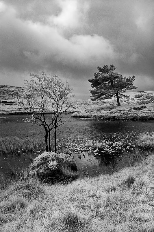 Kelly Hall Tarn 03 - Infra Red