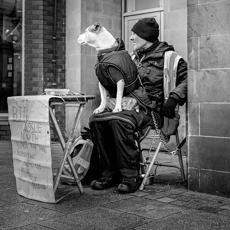 Hes No Lapdog 01 - Street