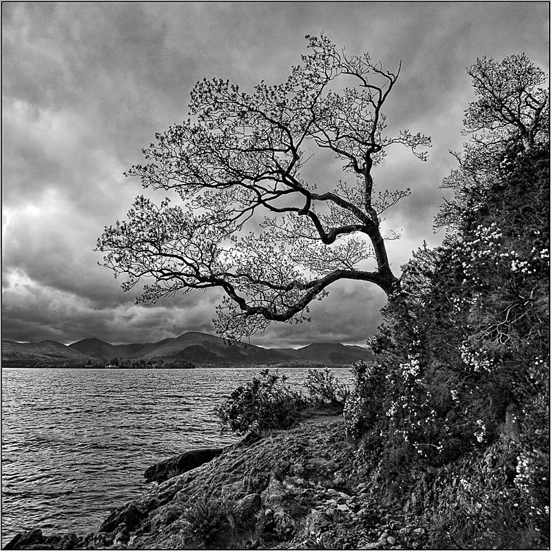 View from Craigie Fort - Landscapes