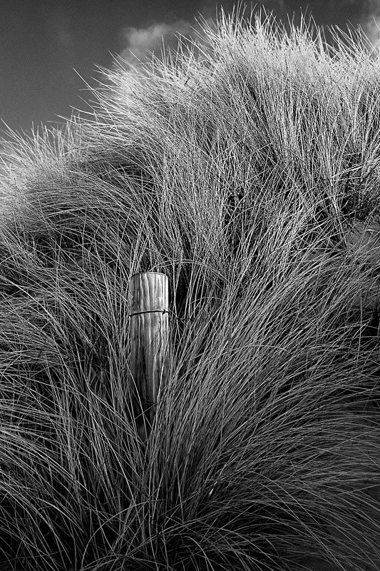 Overwhelmed - Landscapes