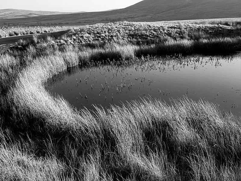 Skye Pond 05 - Waterscapes