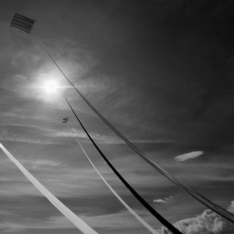 Kite Festival 008 - Kite Festival