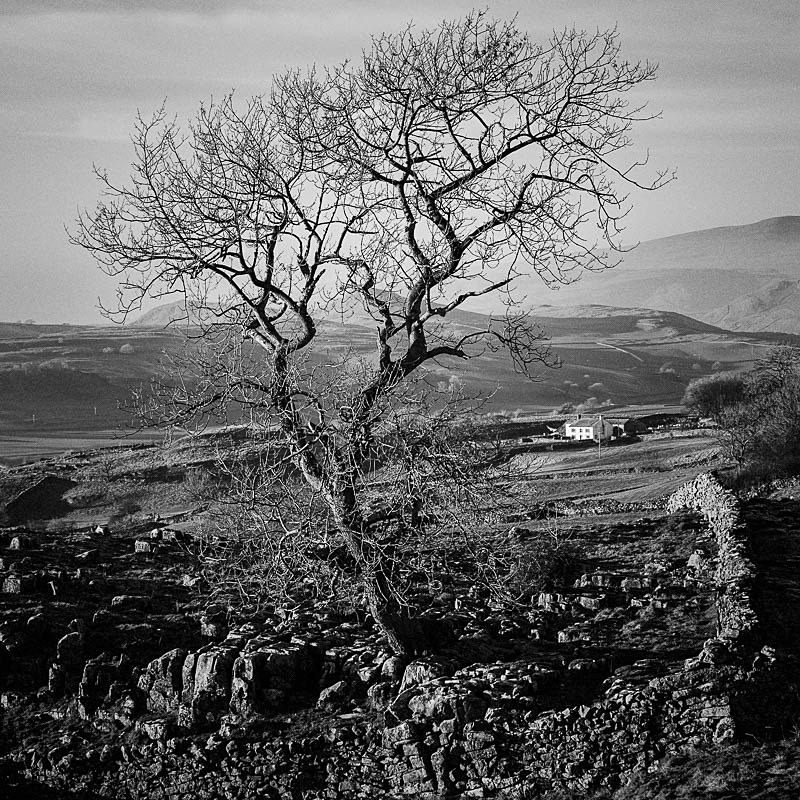 Winskill 08 - Landscapes