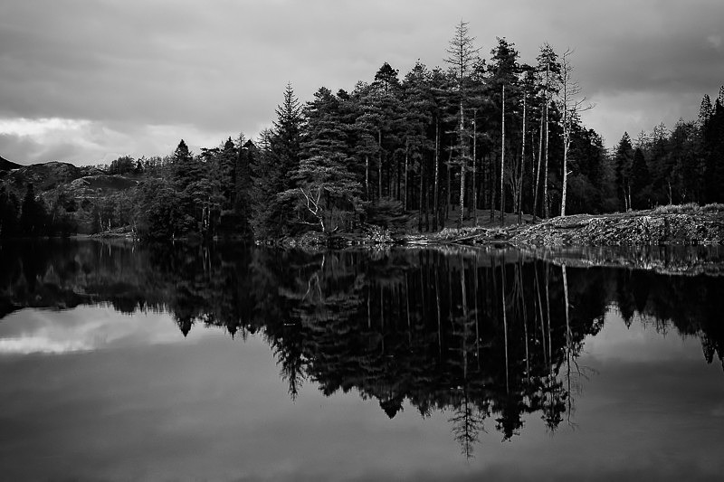 Tarn Hows 01 - Waterscapes