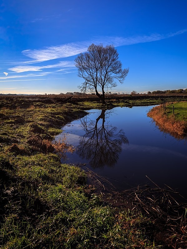 Leighton Moss 01 C - Colour