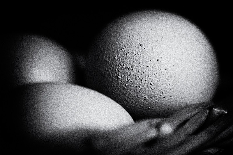 Eggs 03 - Homespun