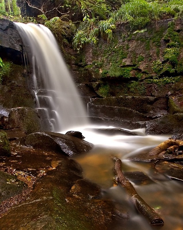 Fairy Glen 01 C - Colour