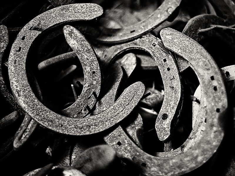 Horse Shoes 01 - A Closer Look