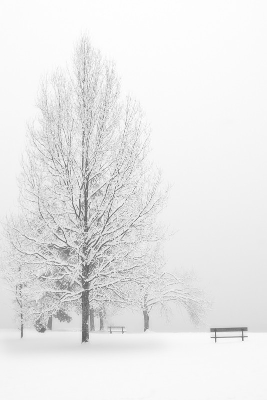 Blanket Of Silence - Landscapes