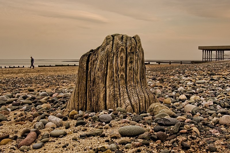 Fleetwood Stump C - Colour