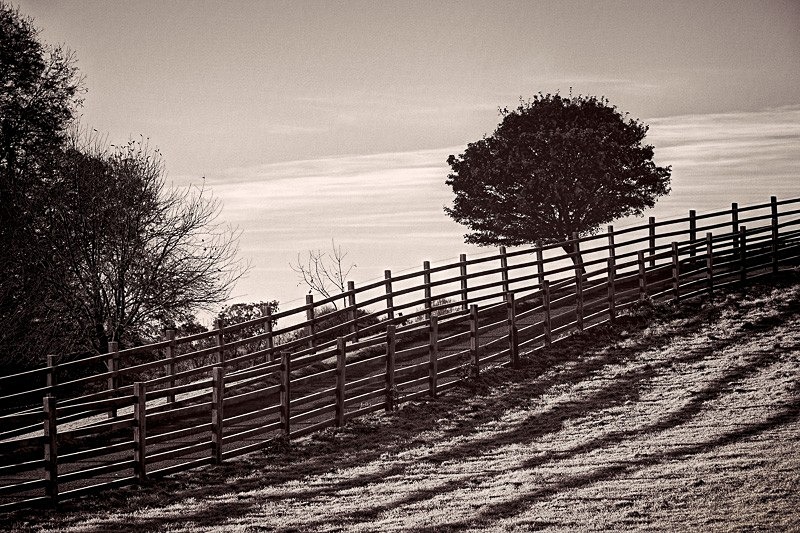 Fence Lines 02 - Landscapes
