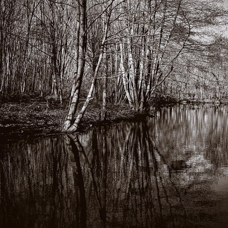Curtains Pond 03 - Waterscapes