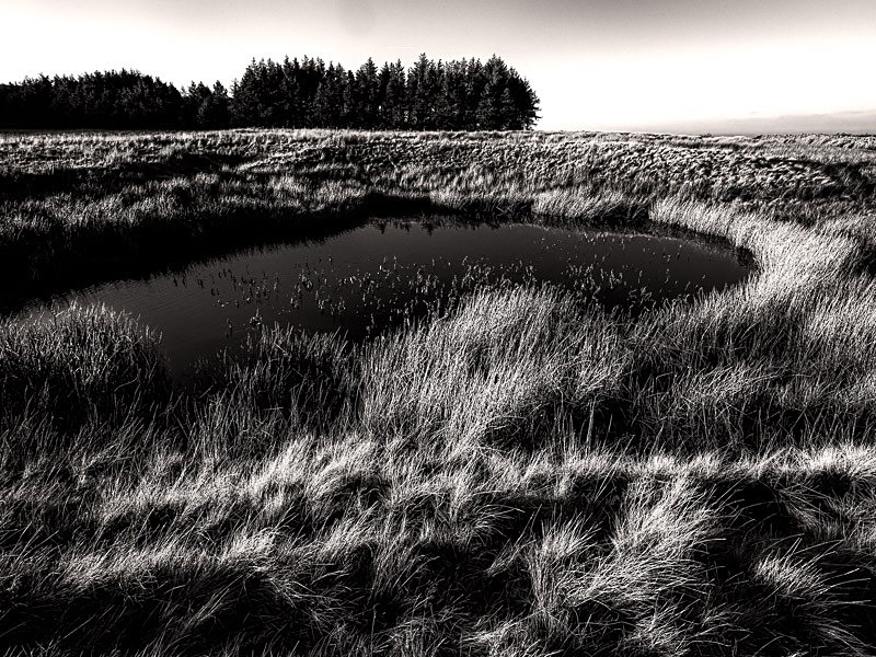 Skye Pond 07 - Waterscapes