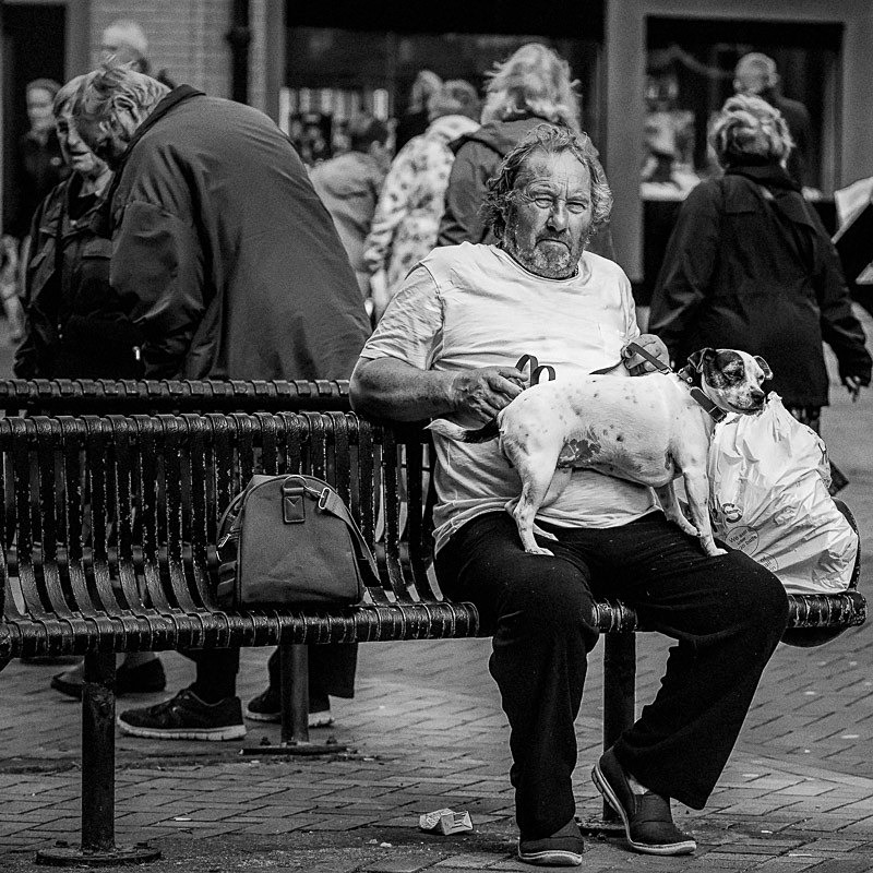 Lap Dog 01 - Street