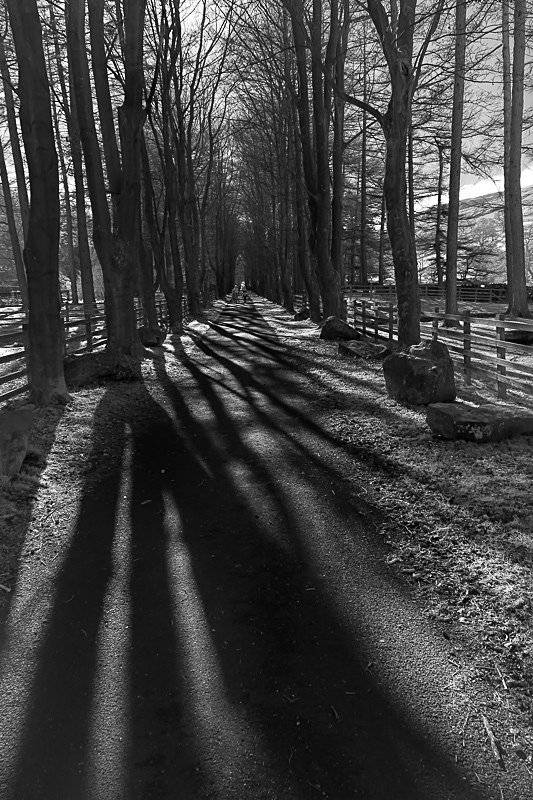 Langden Walk 01 - Landscapes