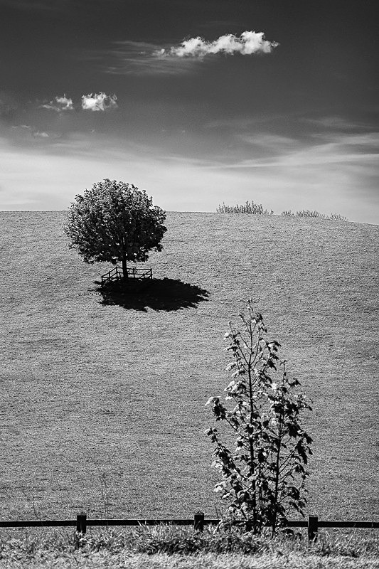 Bentha Hill 02 - Landscapes