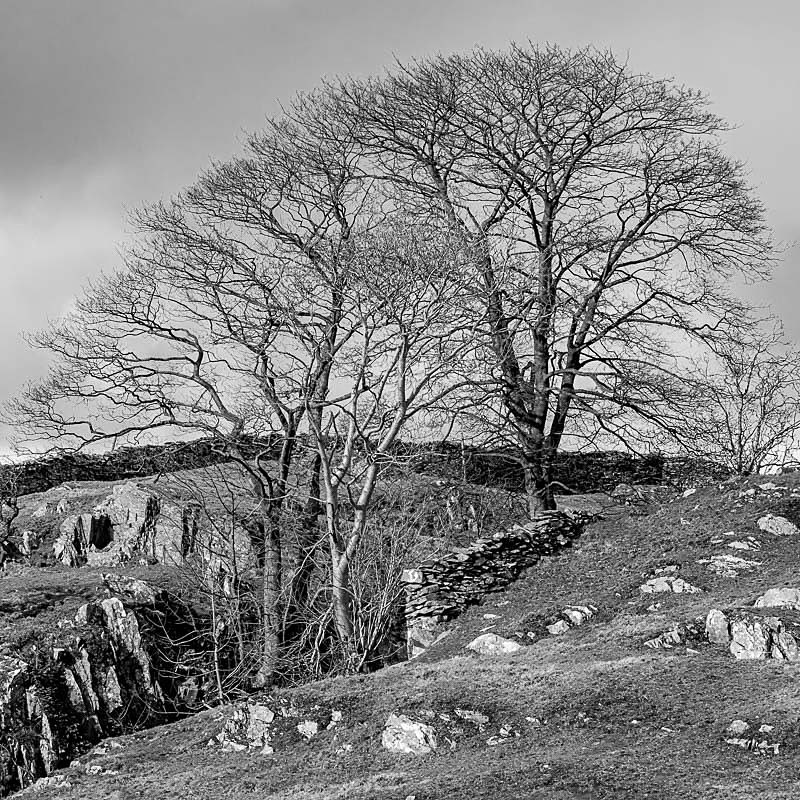 Billinger 03 - Landscapes