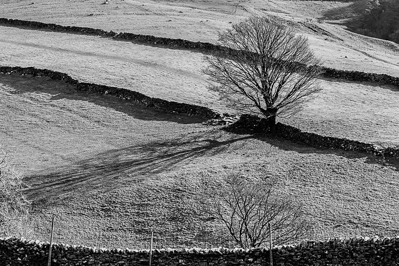 Billinger 04 - Landscapes