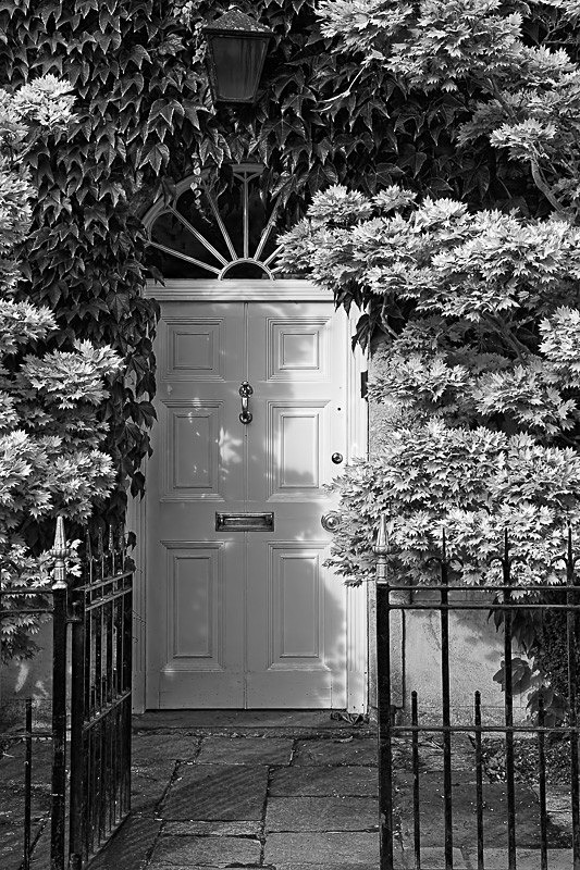 Regency Door 01 - Man-Made