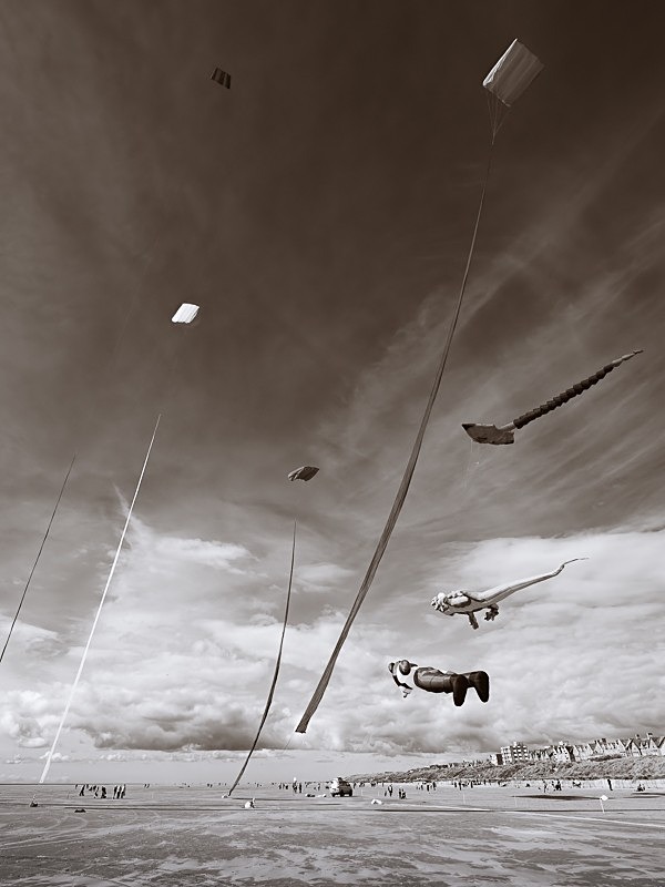 Kite Festival 006 - Kite Festival