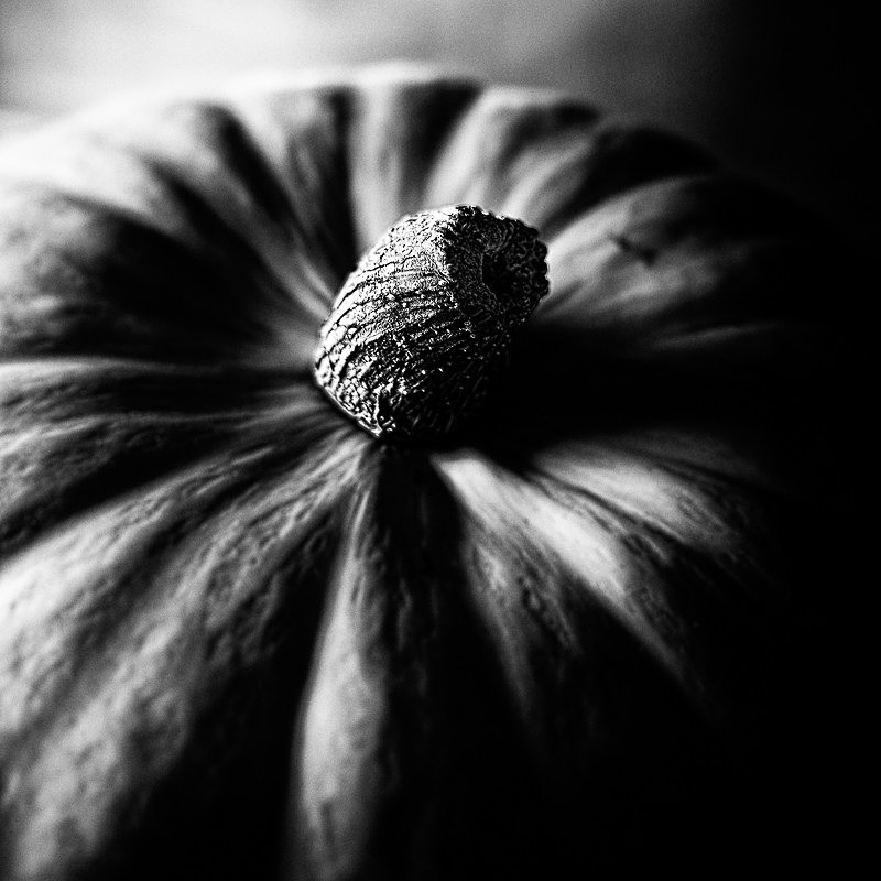 Squash 01 - Homespun