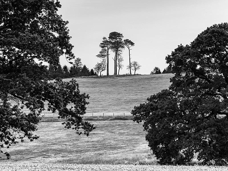 Gildard Hill 01 - Landscapes
