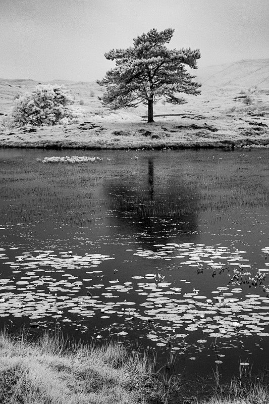 Kelly Hall Tarn 08 - Infra Red